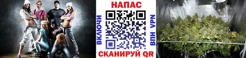 гидра вход Тулун Конопля сатива хочу